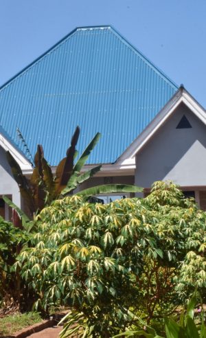 Kili View Lodge Kili View Lodge